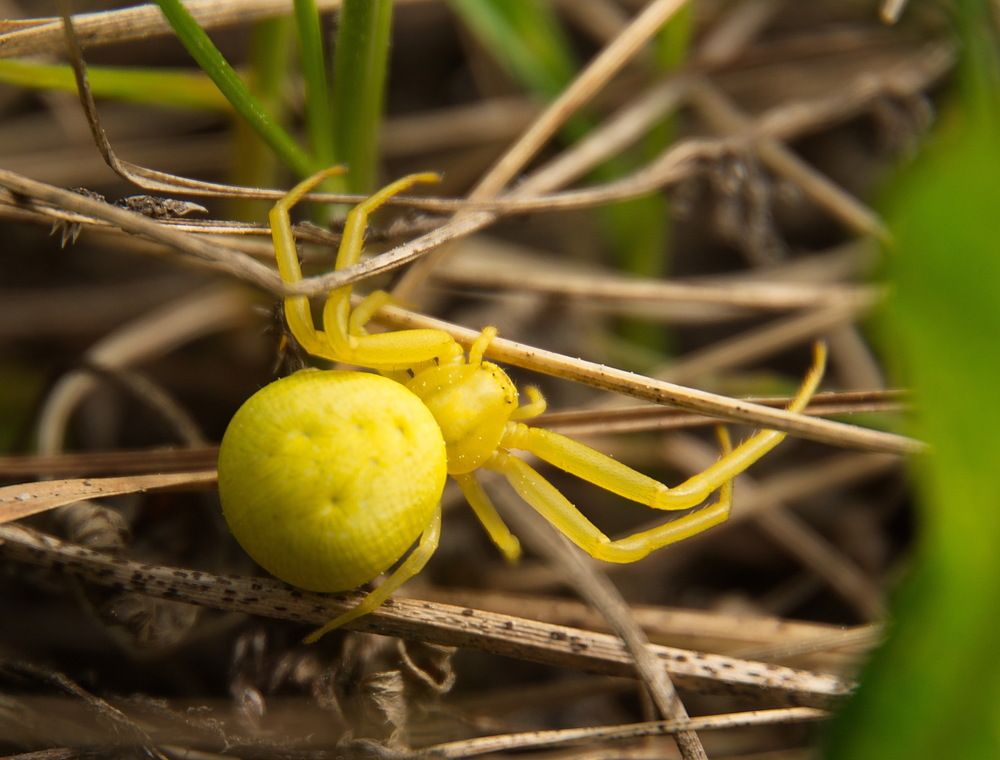 Photograph by Василий Быстрицкий