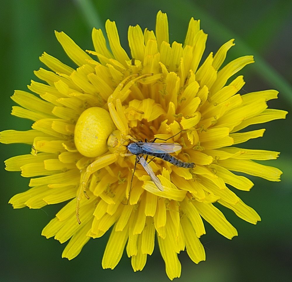 Photograph by Василий Быстрицкий