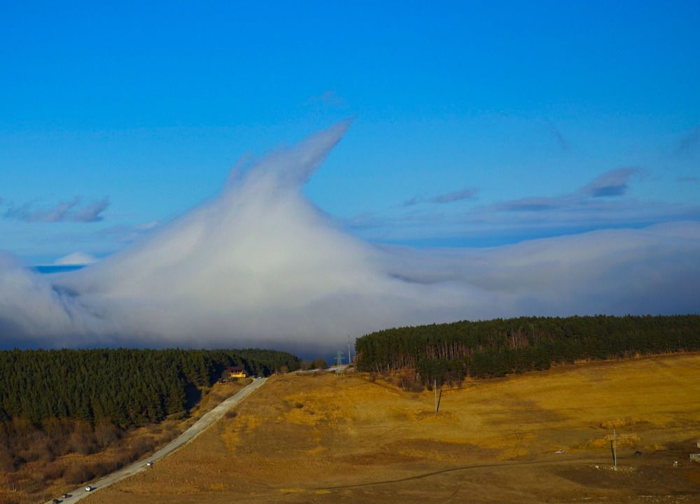Фотография автора Сергей Воронцов