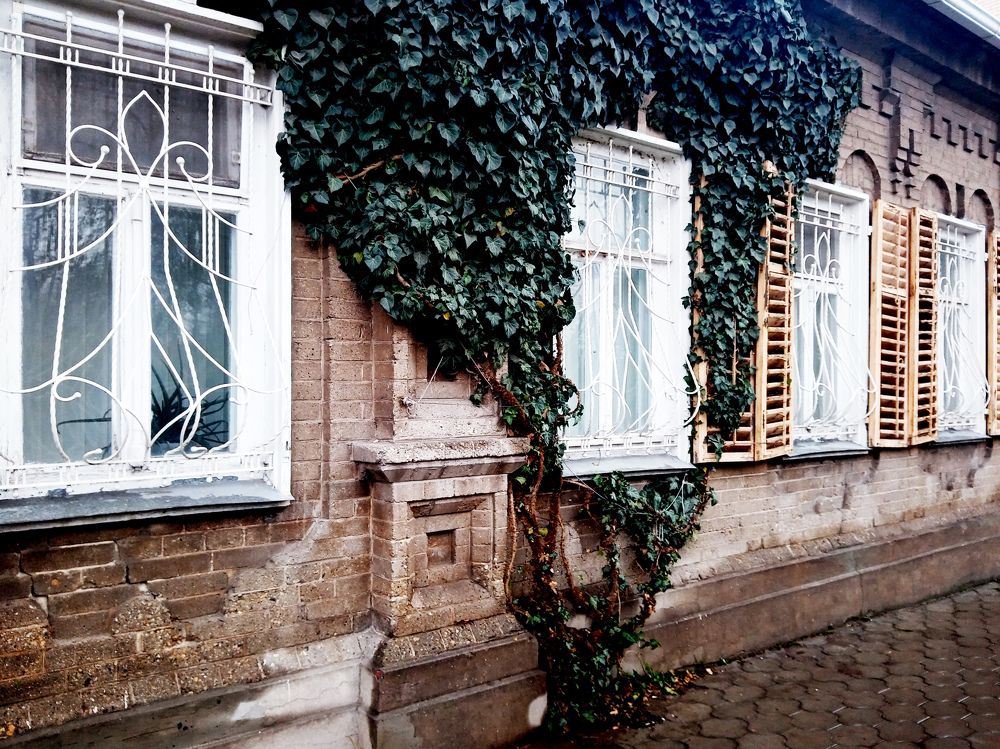 Photograph by Светлана Зубанова