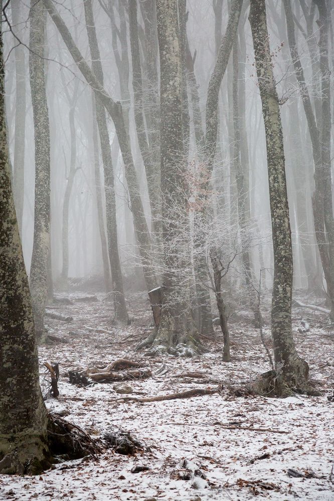 Photograph by Елена Покрепа