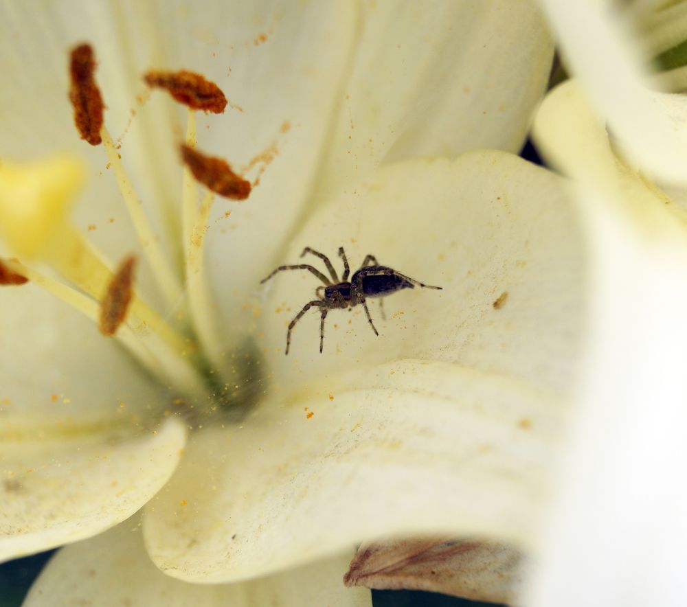 Photograph by Павлов Дмитрий