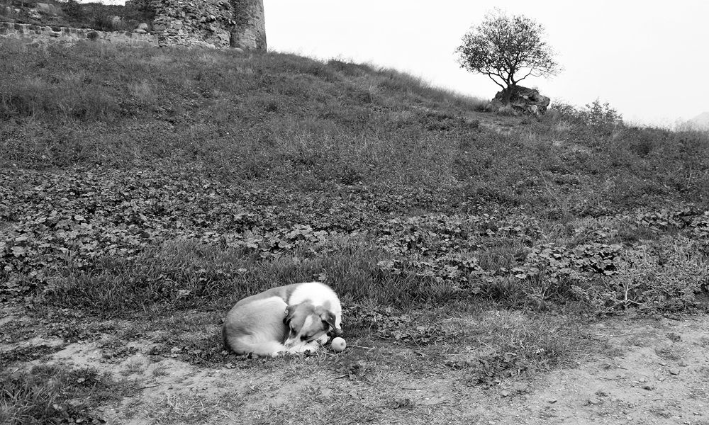 Photograph by Ирина Литичевская