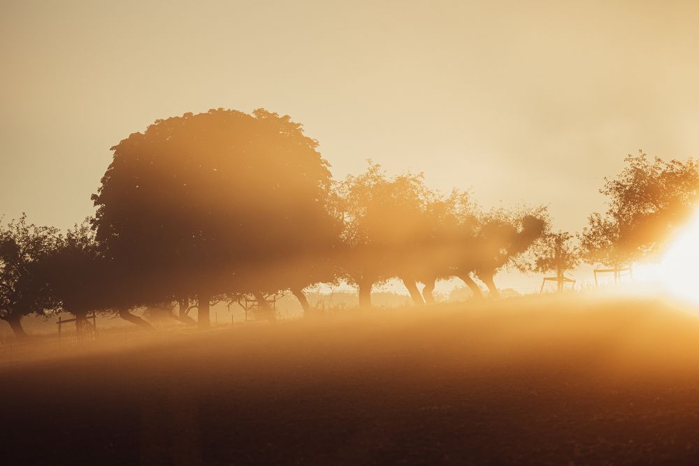 Photograph by Hanna Banaszak