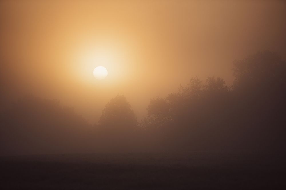 Photograph by Hanna Banaszak