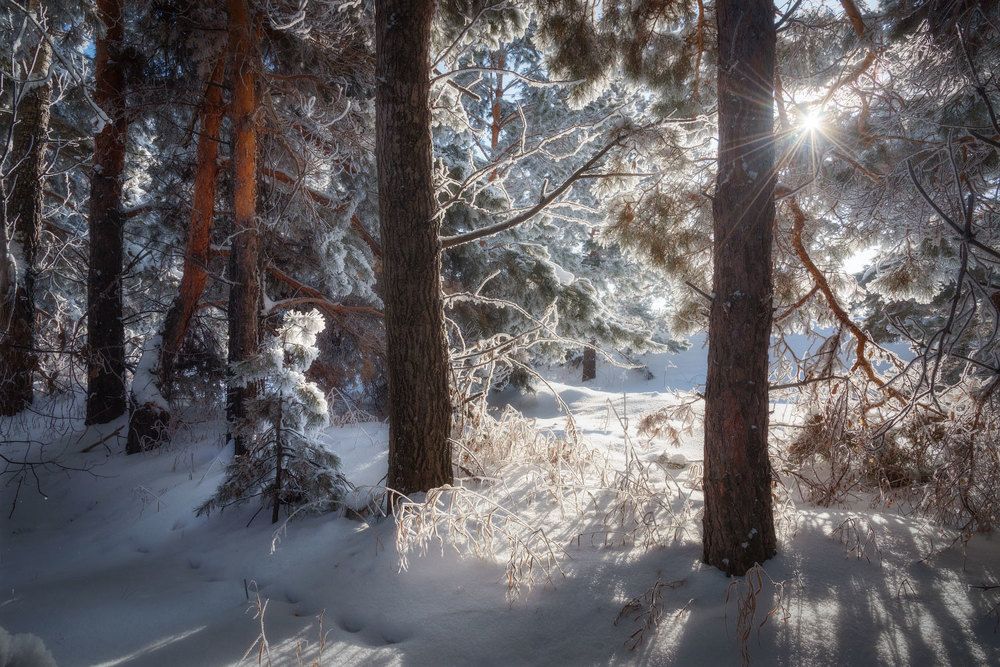 Photograph by Рубан Алена