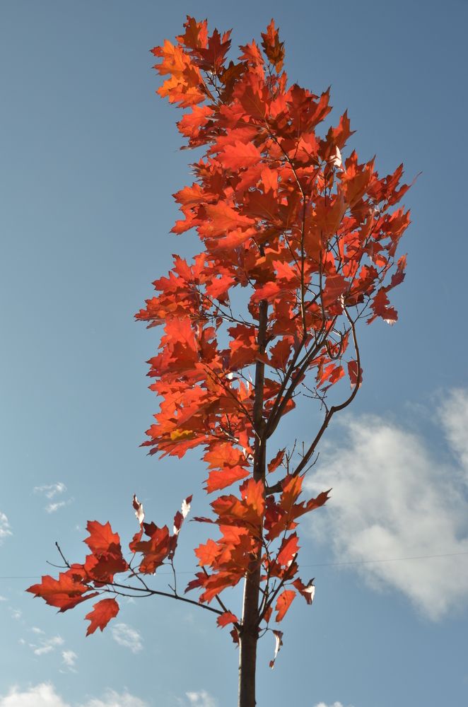 Photograph by Роман