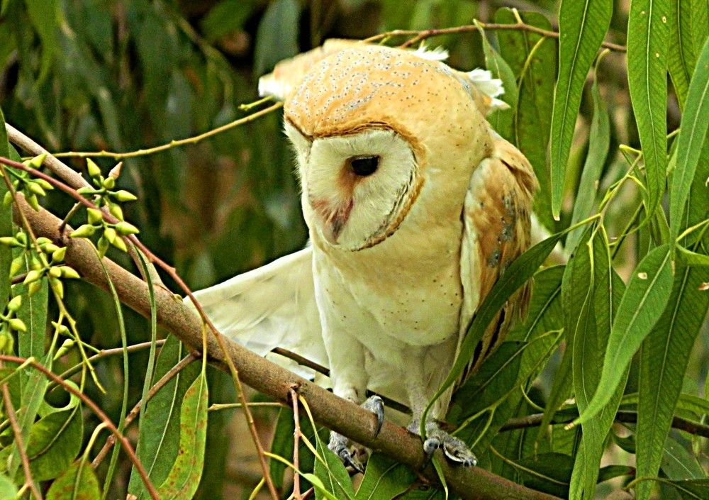 Фотография автора Сергей Рапопорт