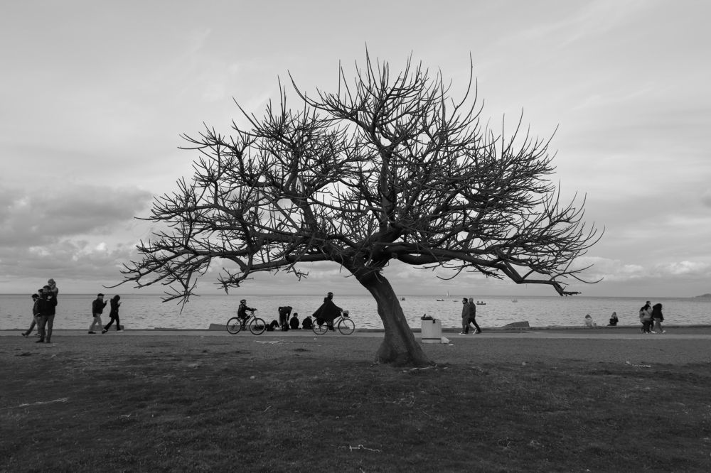 Photograph by Pablo D'Andrea