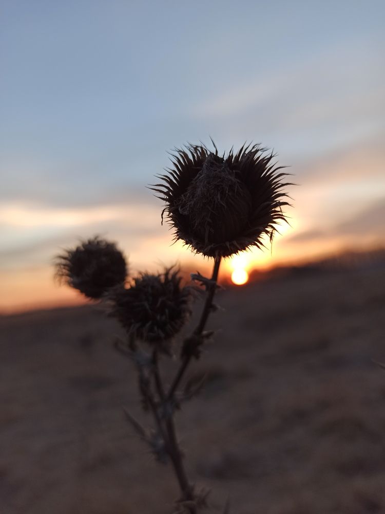 Photograph by Татьяна Долгушева