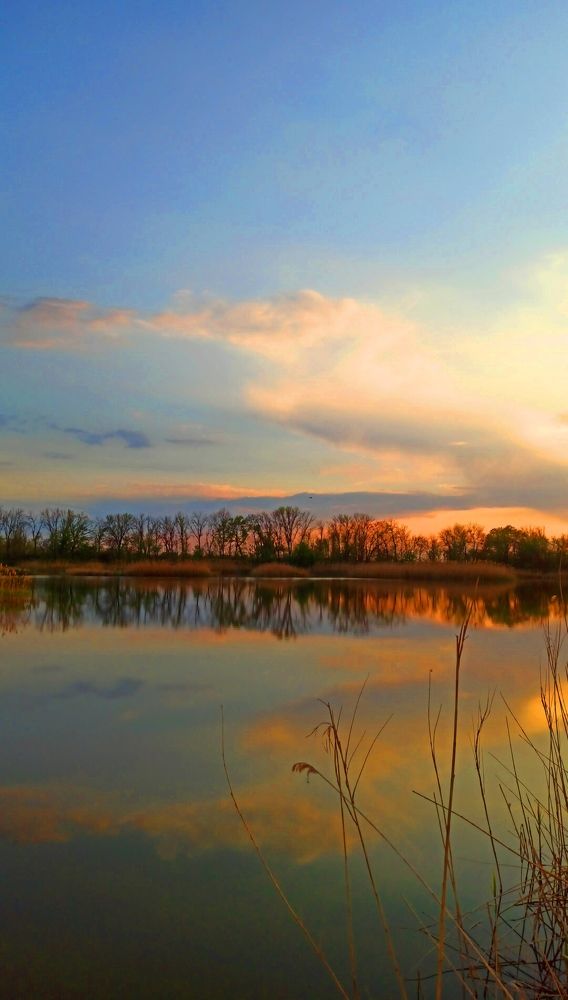 Photograph by Наталия Крайник