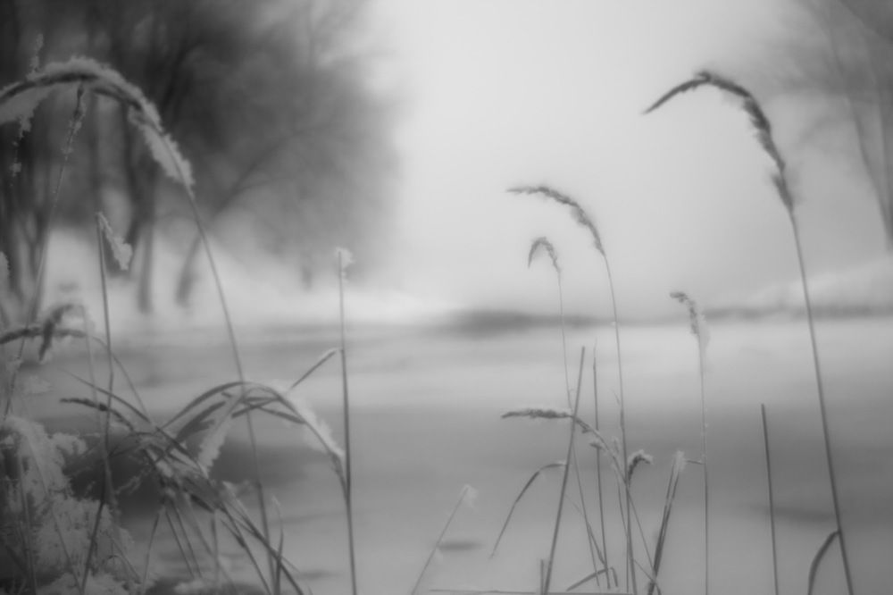 Photograph by Иван Зиновьев