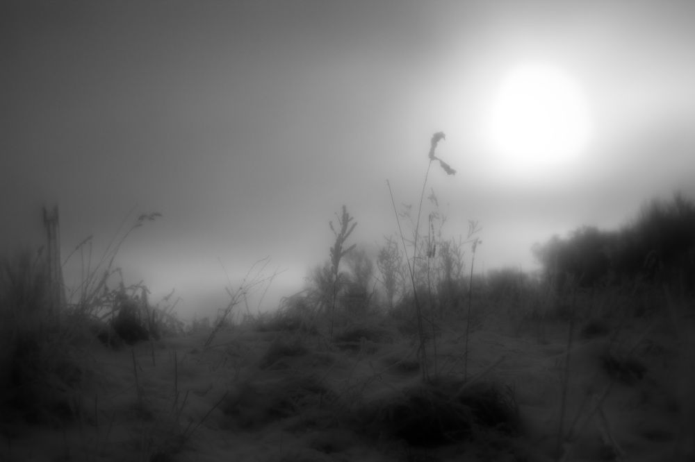 Photograph by Иван Зиновьев