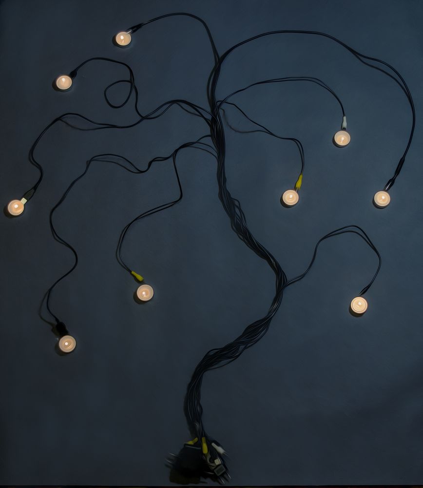 Photograph by Роман