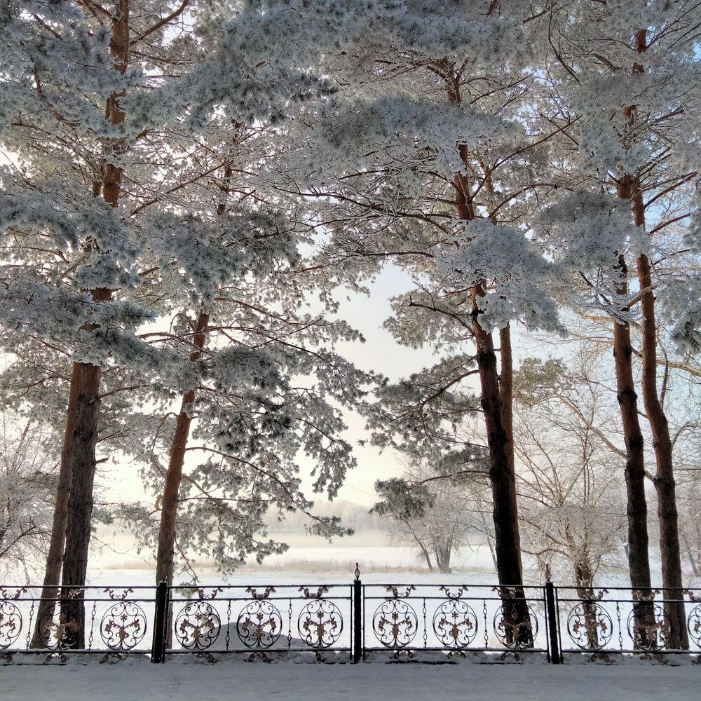 Фотография автора Динара