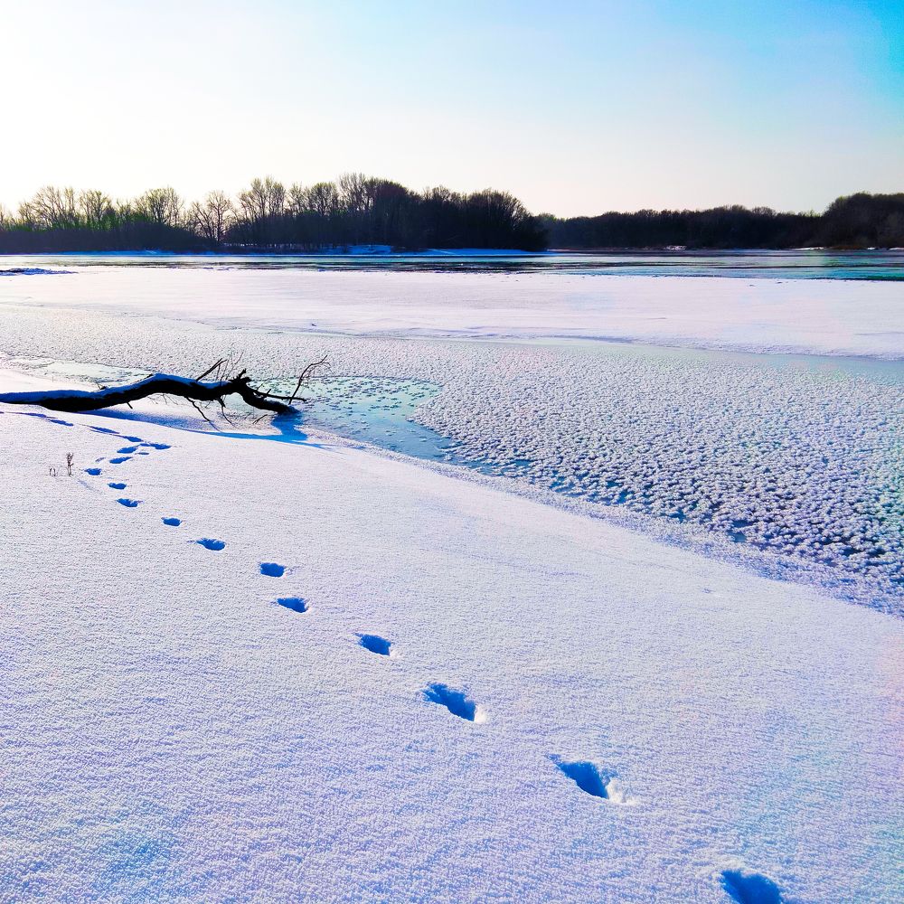 Фотография автора Динара Каймиденова