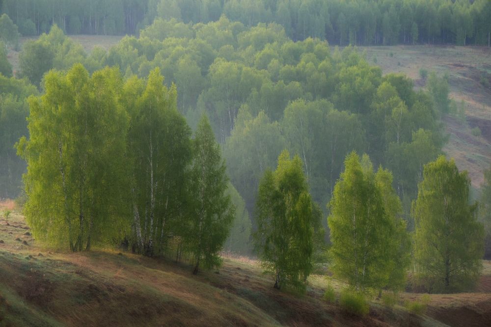 Photograph by Александр Кульгин