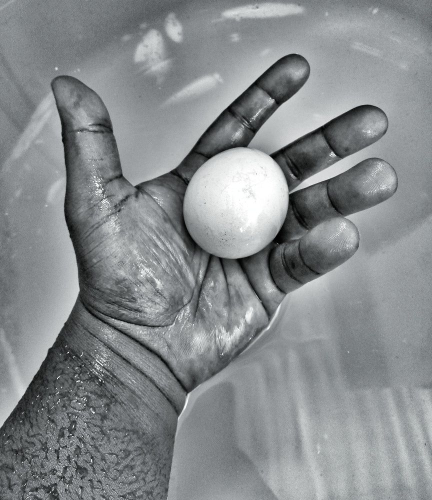 Photograph by Elísio Capitão