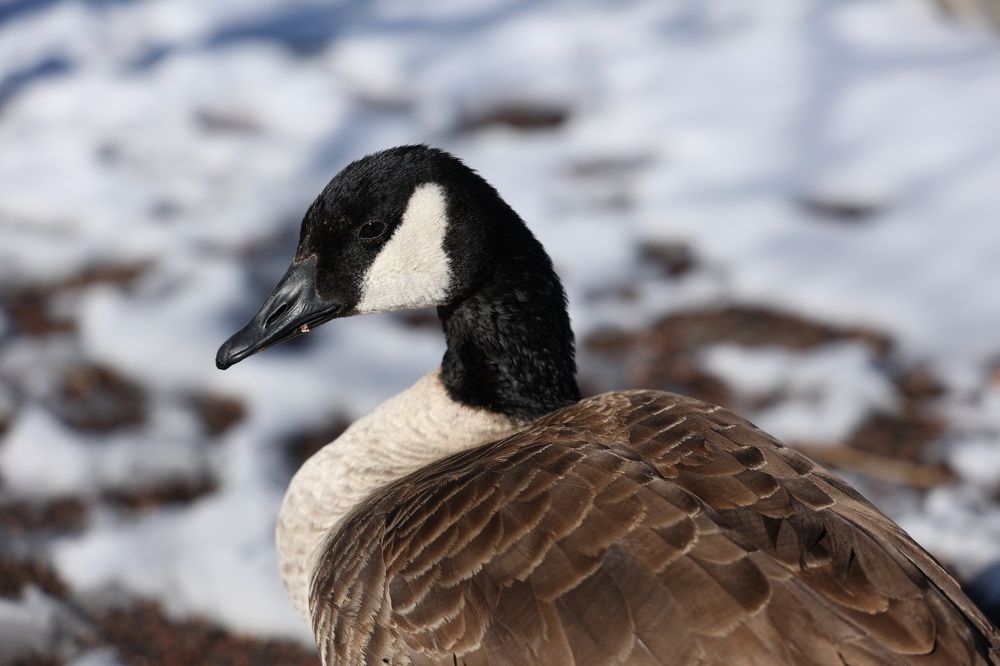 Photograph by Viktar Hutyrchyk