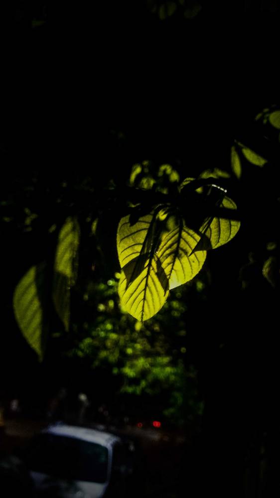 Photograph by Krishna Sai