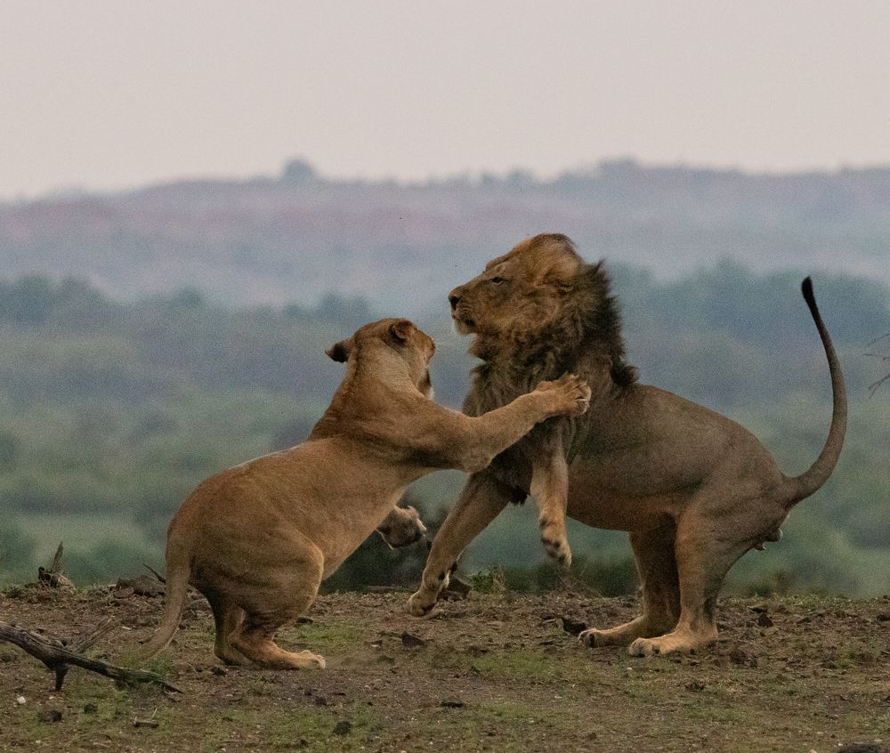 Photograph by Tshepo Phokoje