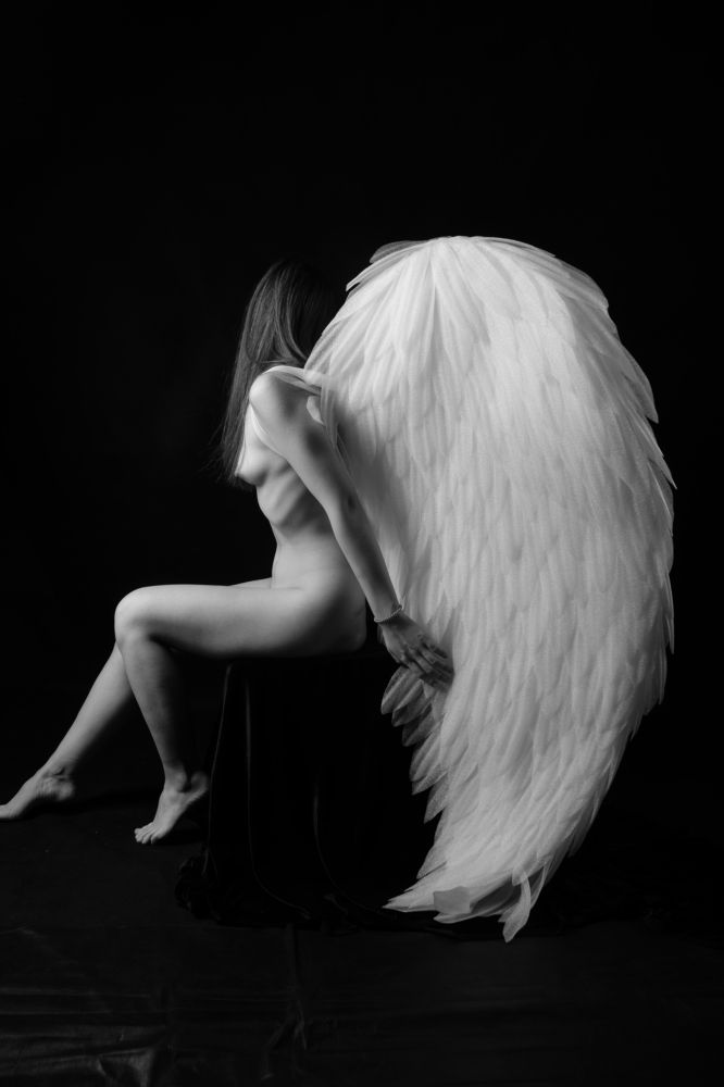 Фотография автора Алексей Арестов