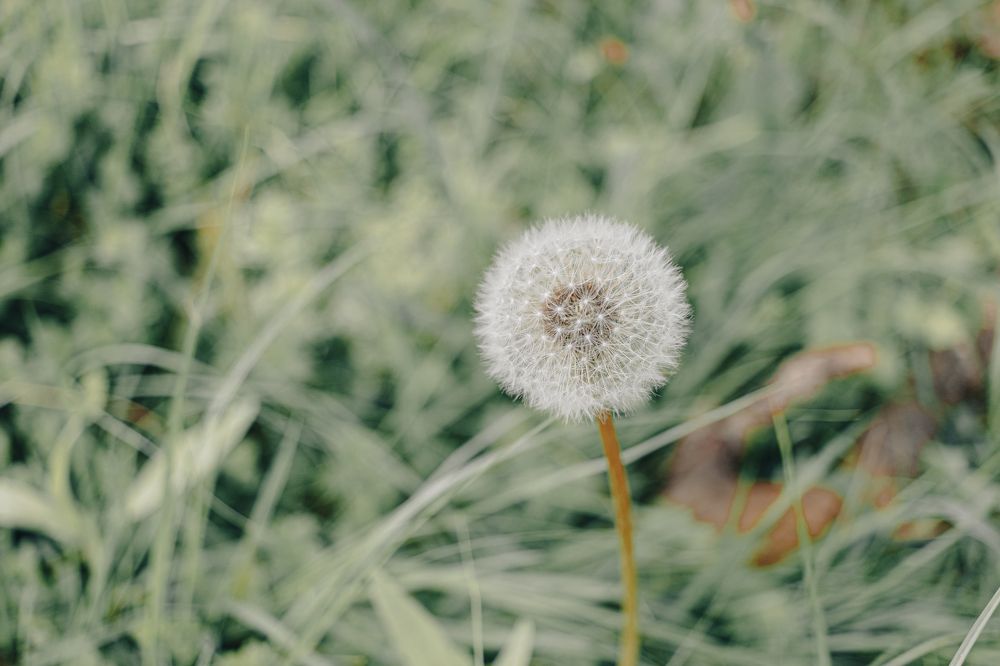 Фотография автора Виктория Балановская