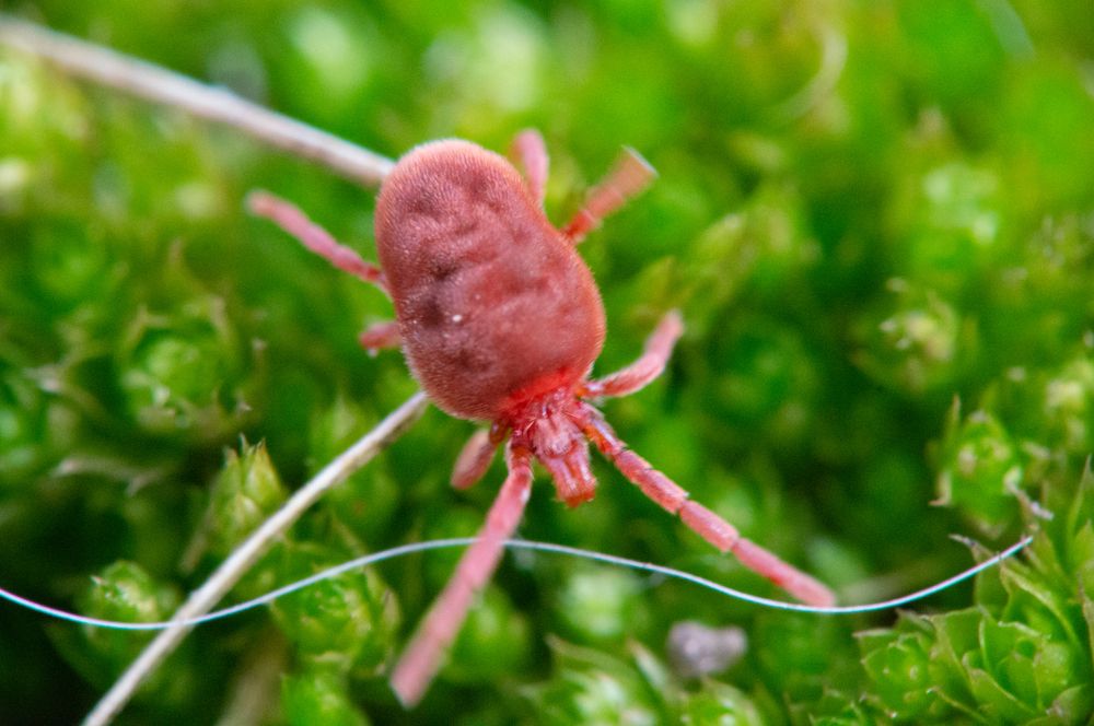 Photograph by Наталья Подмогильная