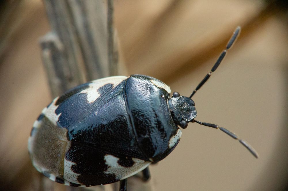 Photograph by Наталья Подмогильная