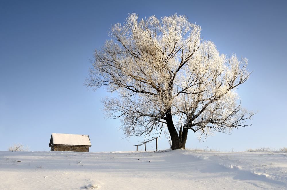 Photograph by Владимир Щеголев