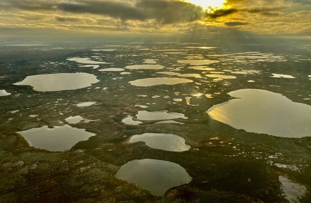 Photograph by Алексей