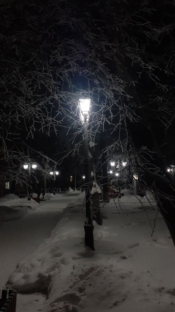 Фотография автора Елена Лещева