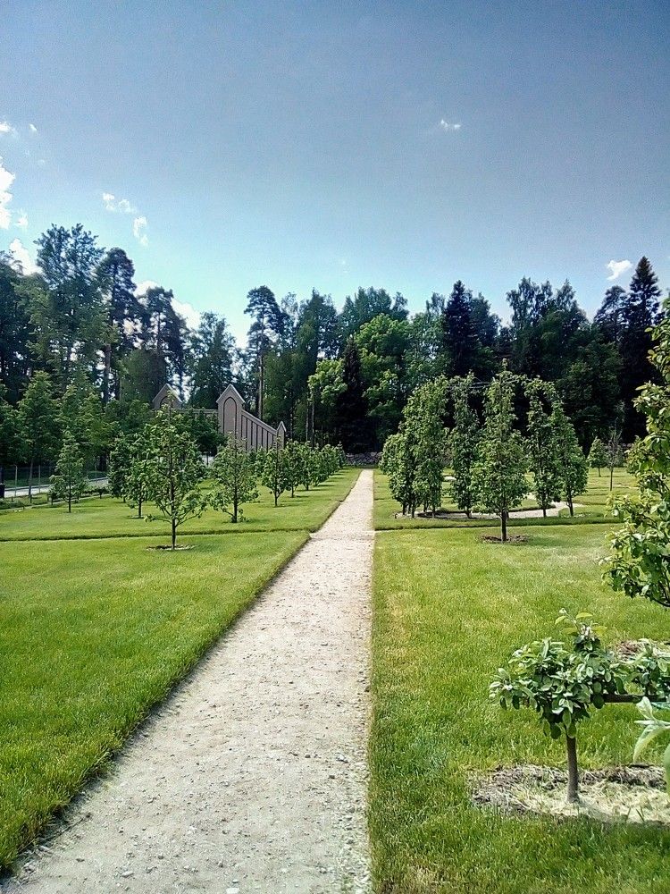 Фотография автора Irina Mihailovskaya