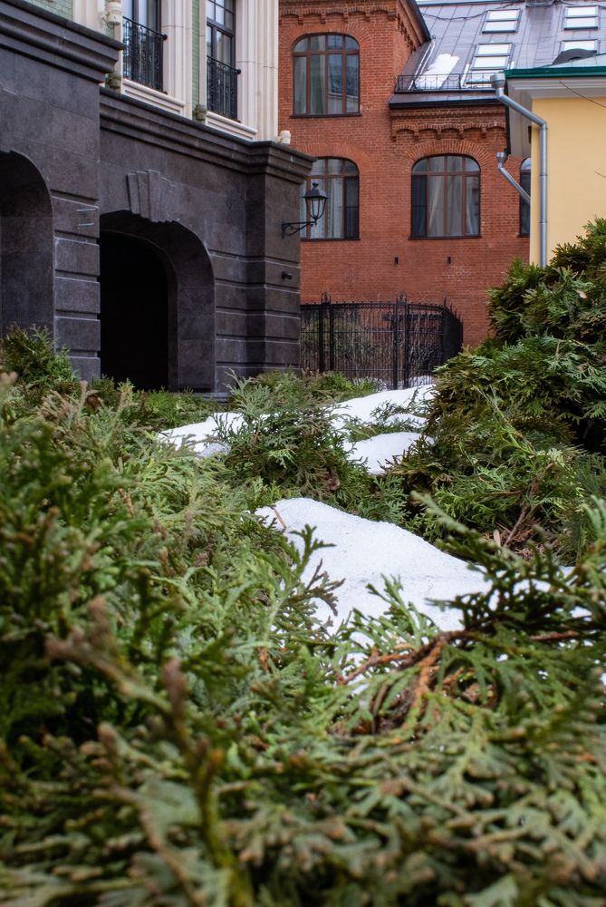 Photograph by Татьяна Хуссейн