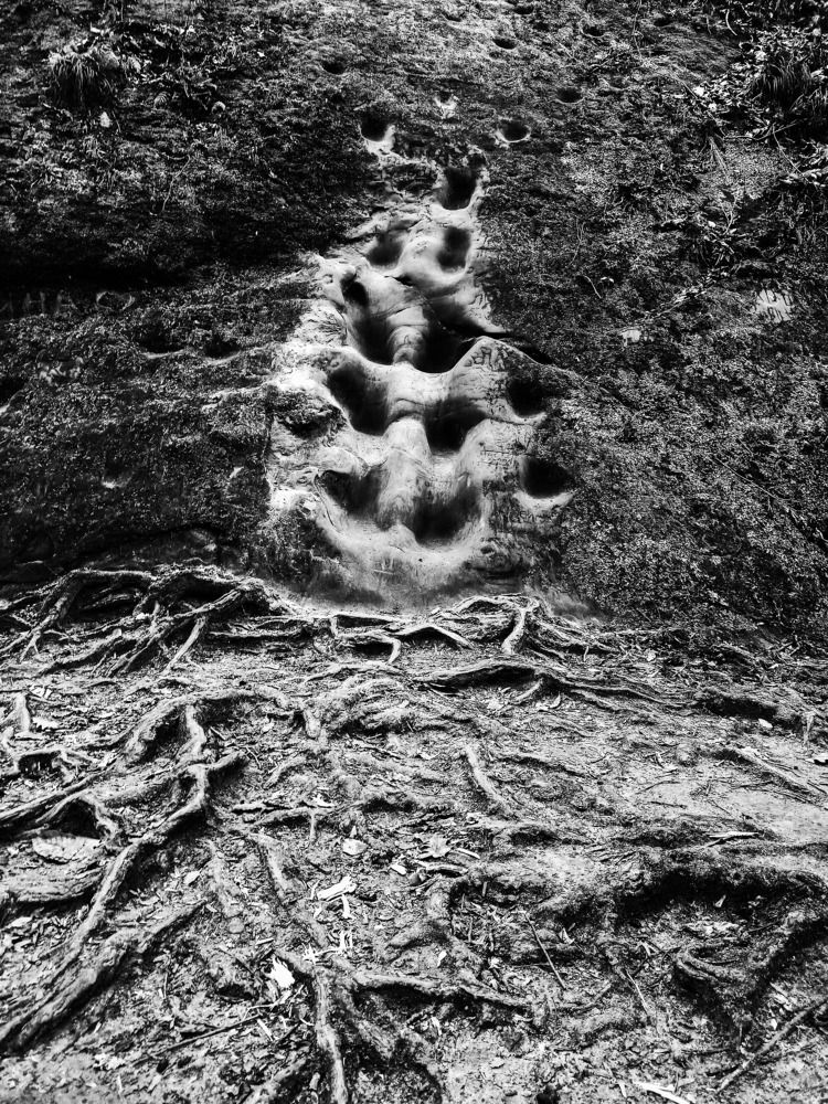 Фотография автора Олег Башкуров