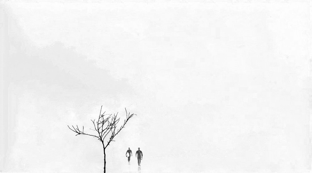 Photograph by اسما رشیدی