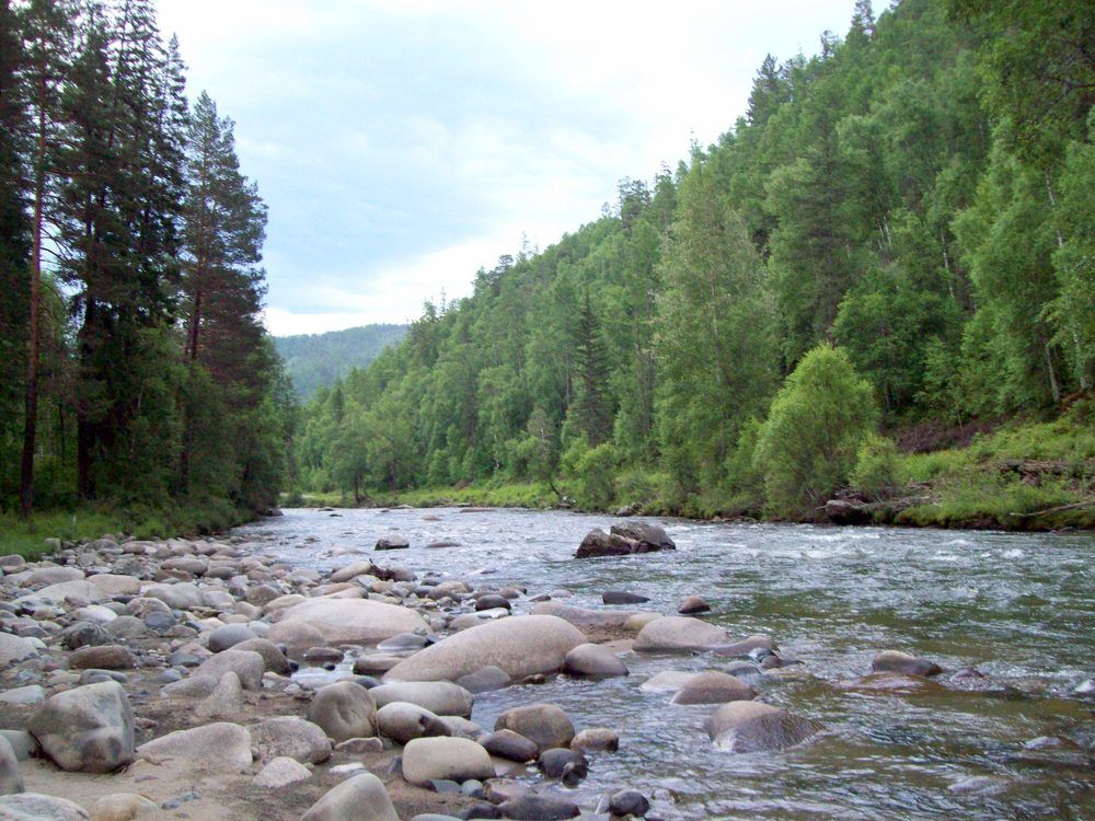 Фотография автора Мигун Александра