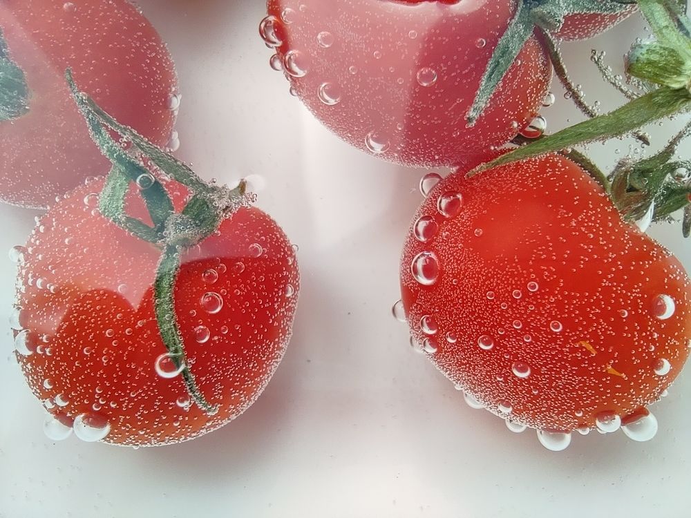 Photograph by Александр Коваль