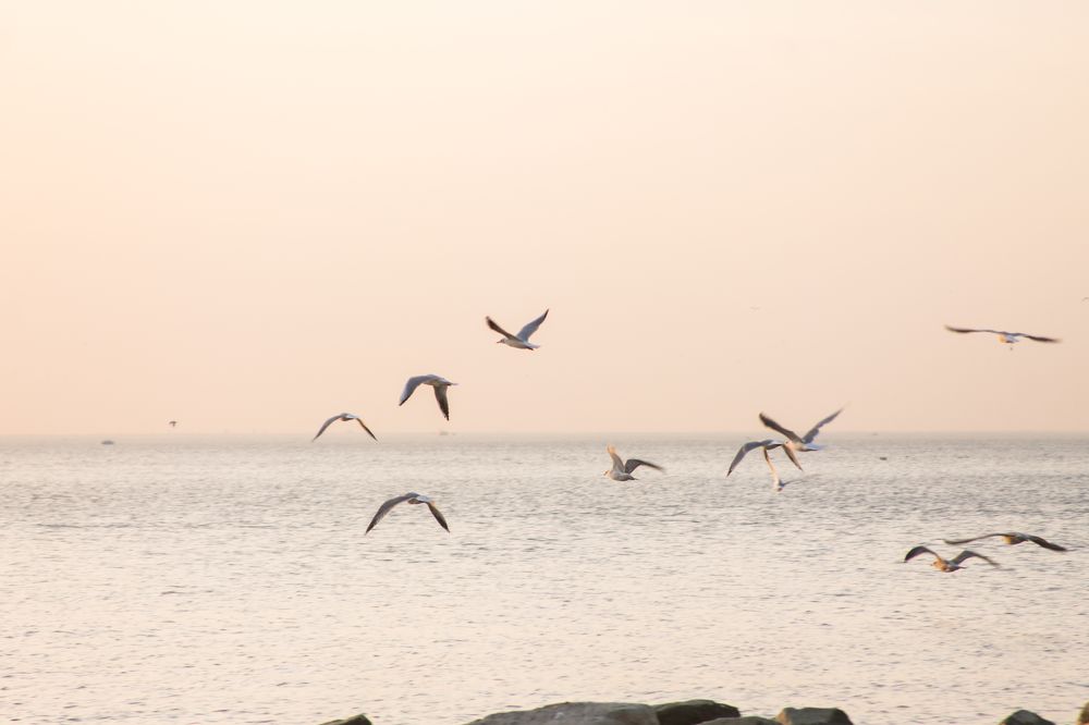 Photograph by Татьяна Заложнова