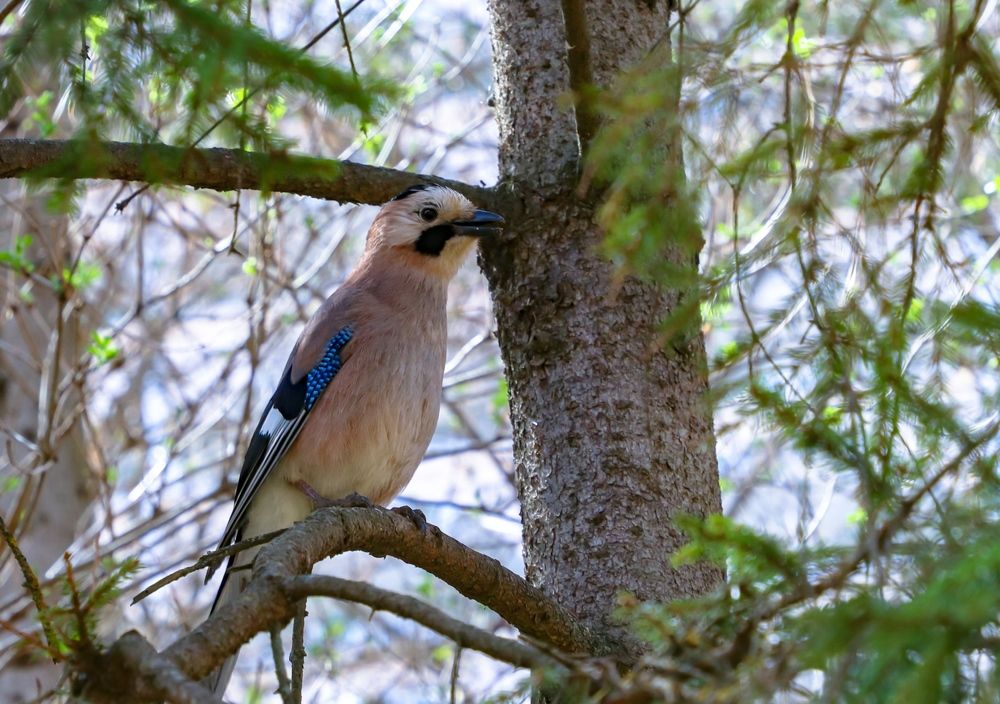 Фотография автора Андрей Потапов