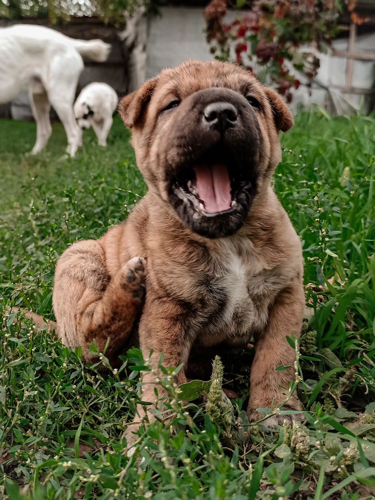 Photograph by Татьяна Долгушева