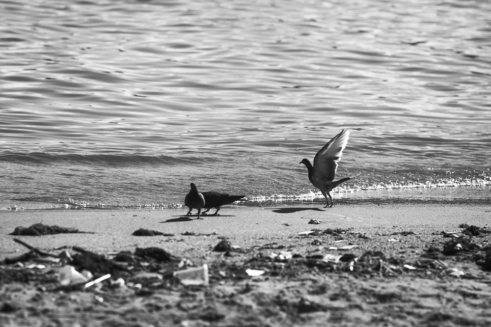 Photograph by pham vu thanh binh