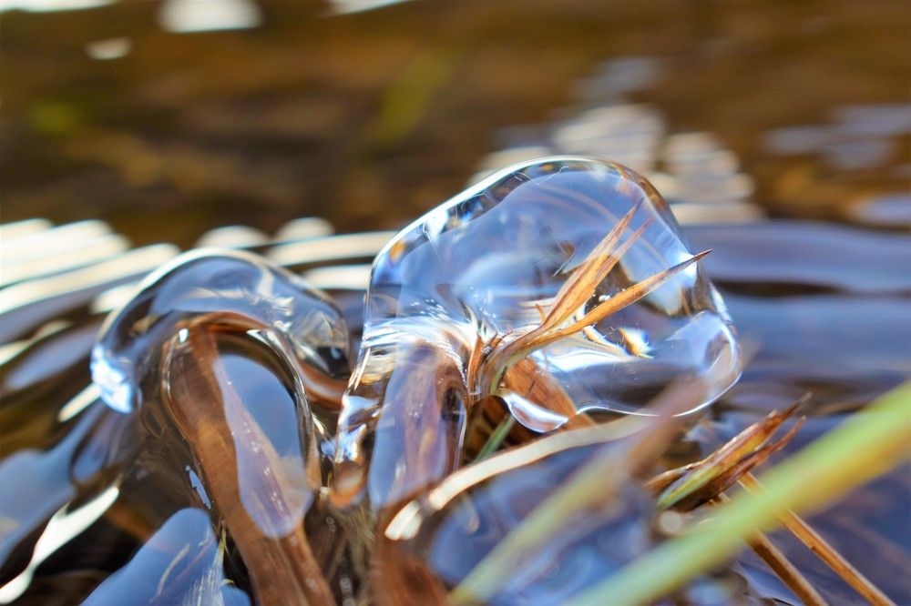 Photograph by Алексей Усов