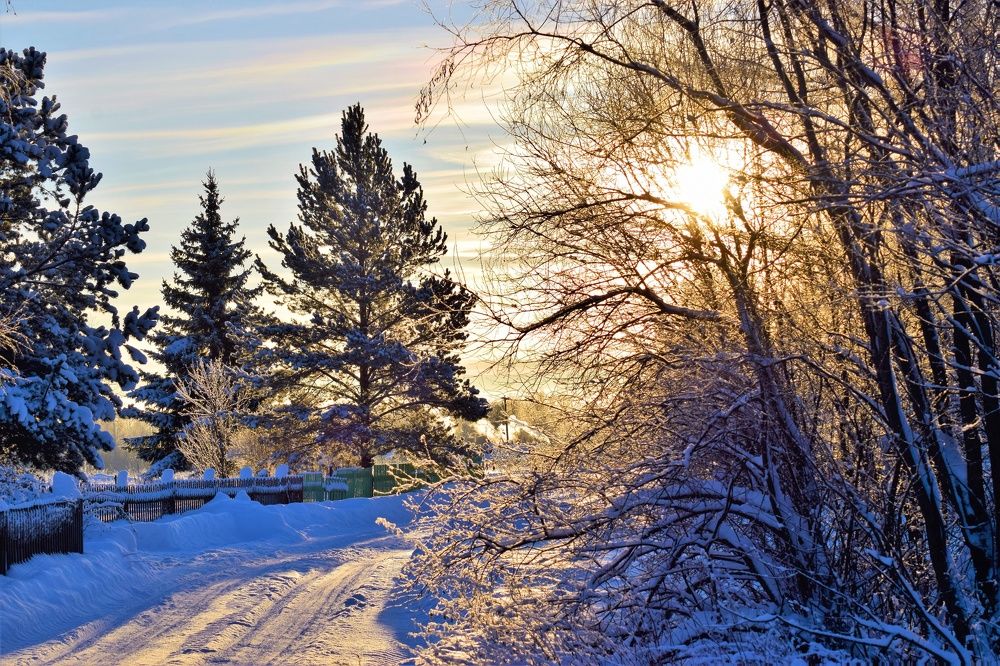 Photograph by Алексей Усов