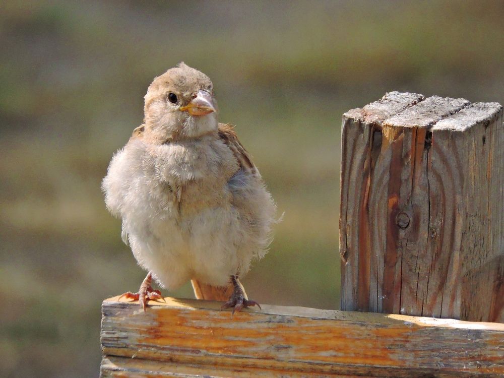 Photograph by LIDIA YUSUPOVA