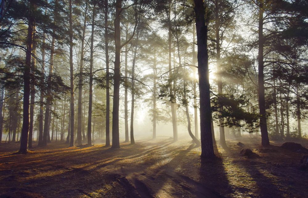 Photograph by Василий Быстрицкий