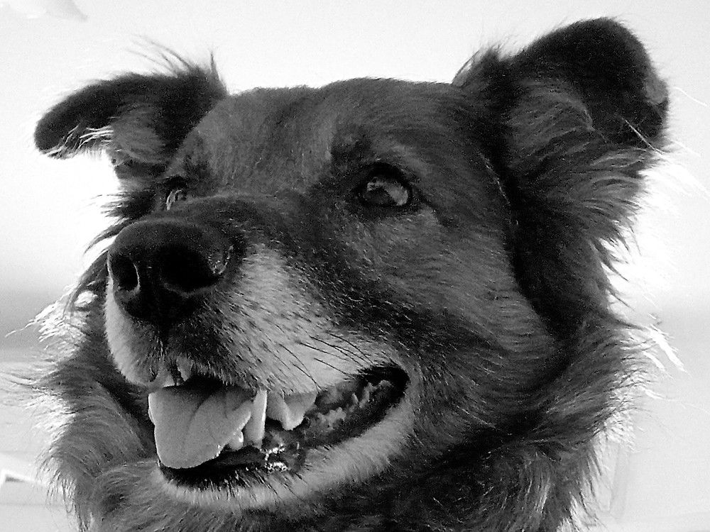 Фотография автора Сергей Рапопорт