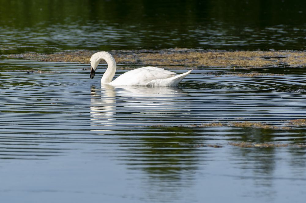 Photograph by Павлов Дмитрий