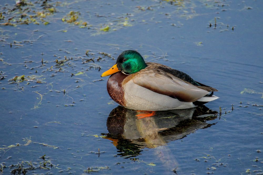 Фотография автора Юрий Фефилов