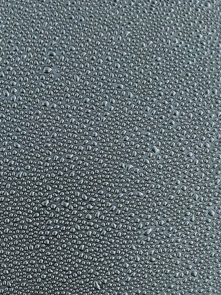 Photograph by Firdous Parray